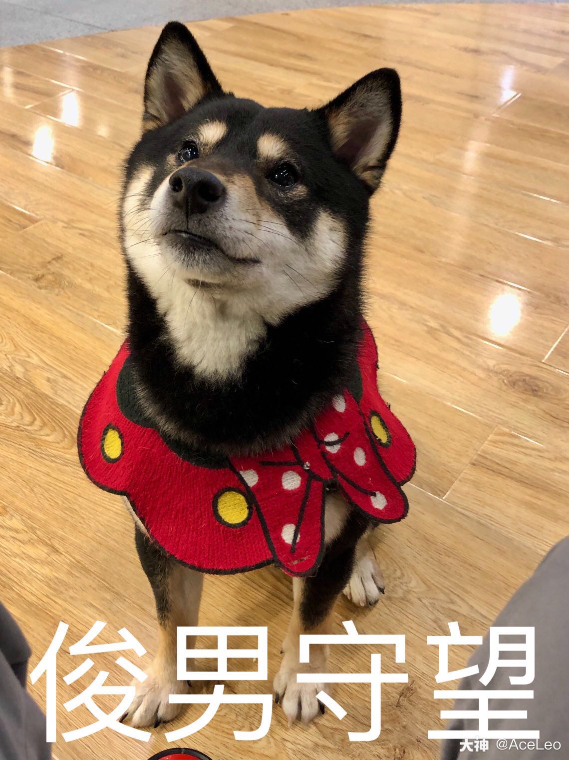 【你的周六如何度过的?】.