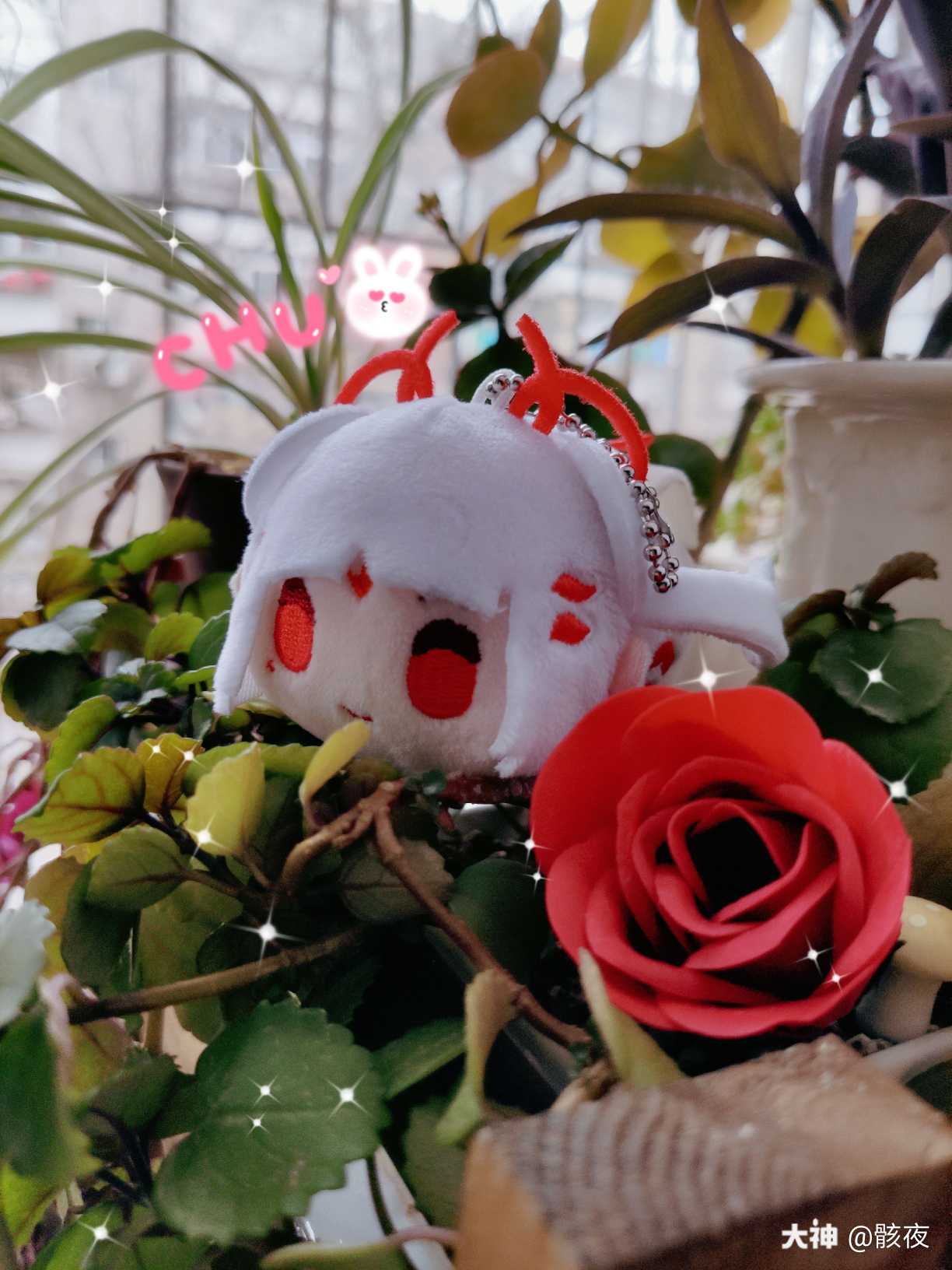 趴趴公仔 玫瑰花 一捧爱意抱回家 今天 你的本命巧克力送给了谁 希望大 来自网易大神阴阳师圈子 骸夜