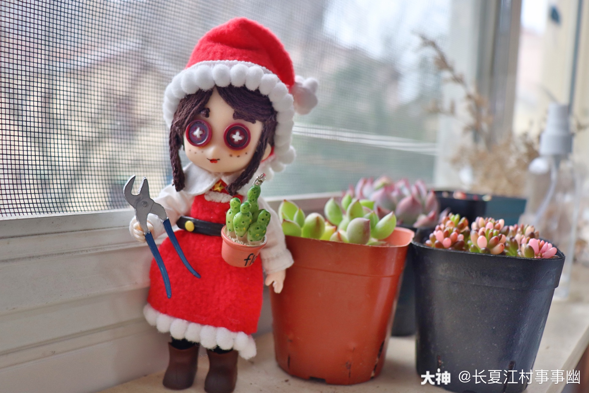 圣诞园丁过年的时候朋友来家里玩,两个人心血来潮买了一堆多肉,正好给