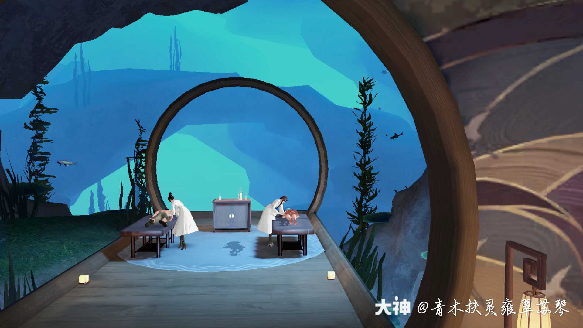 今天在凌波馆玩一玩