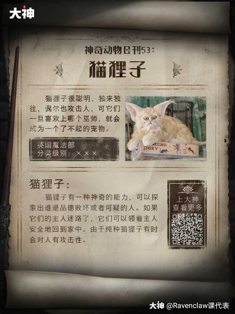 【本期要点】猫狸子 猫狸.