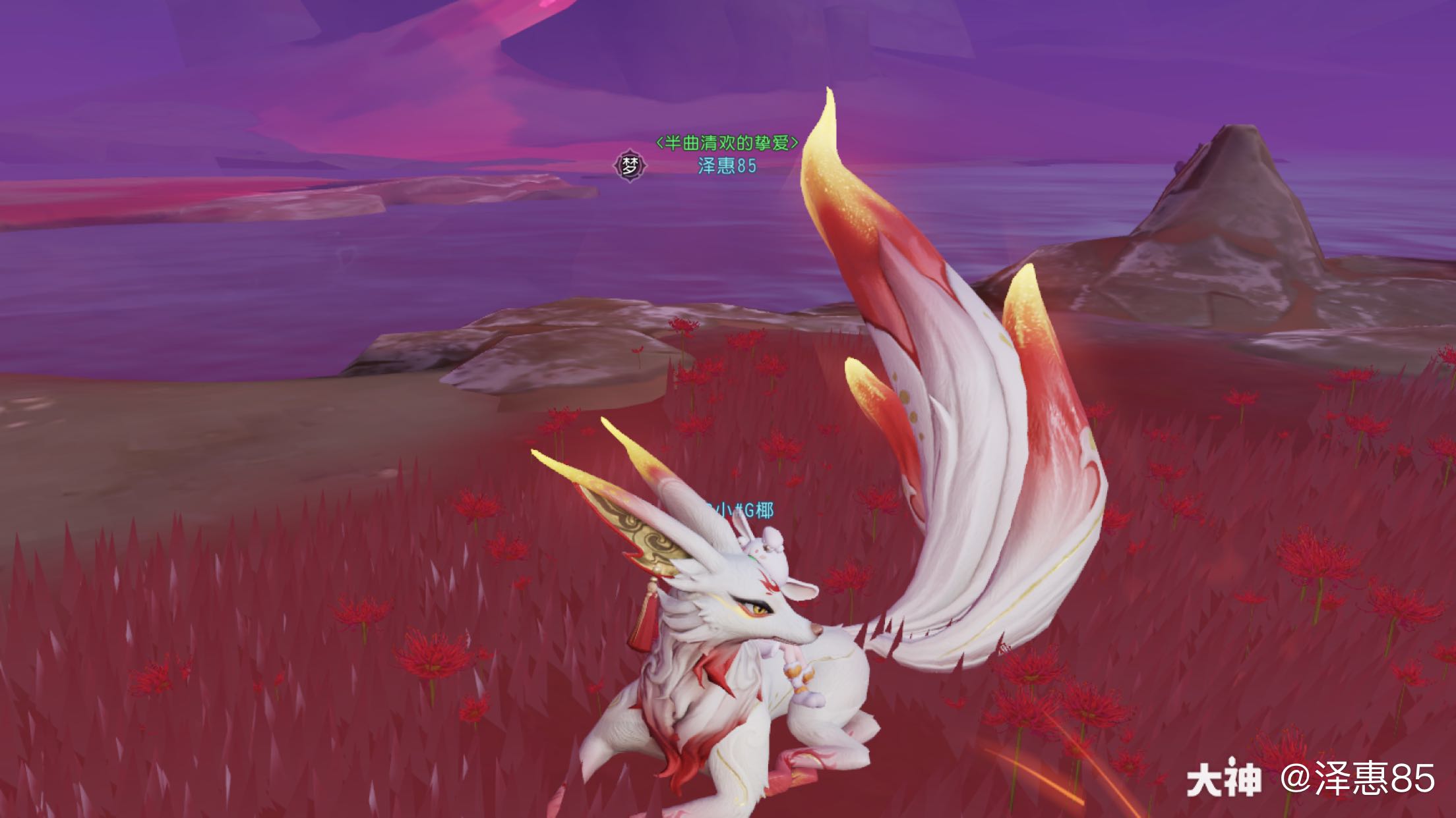 神狐降世# 带你走过红.