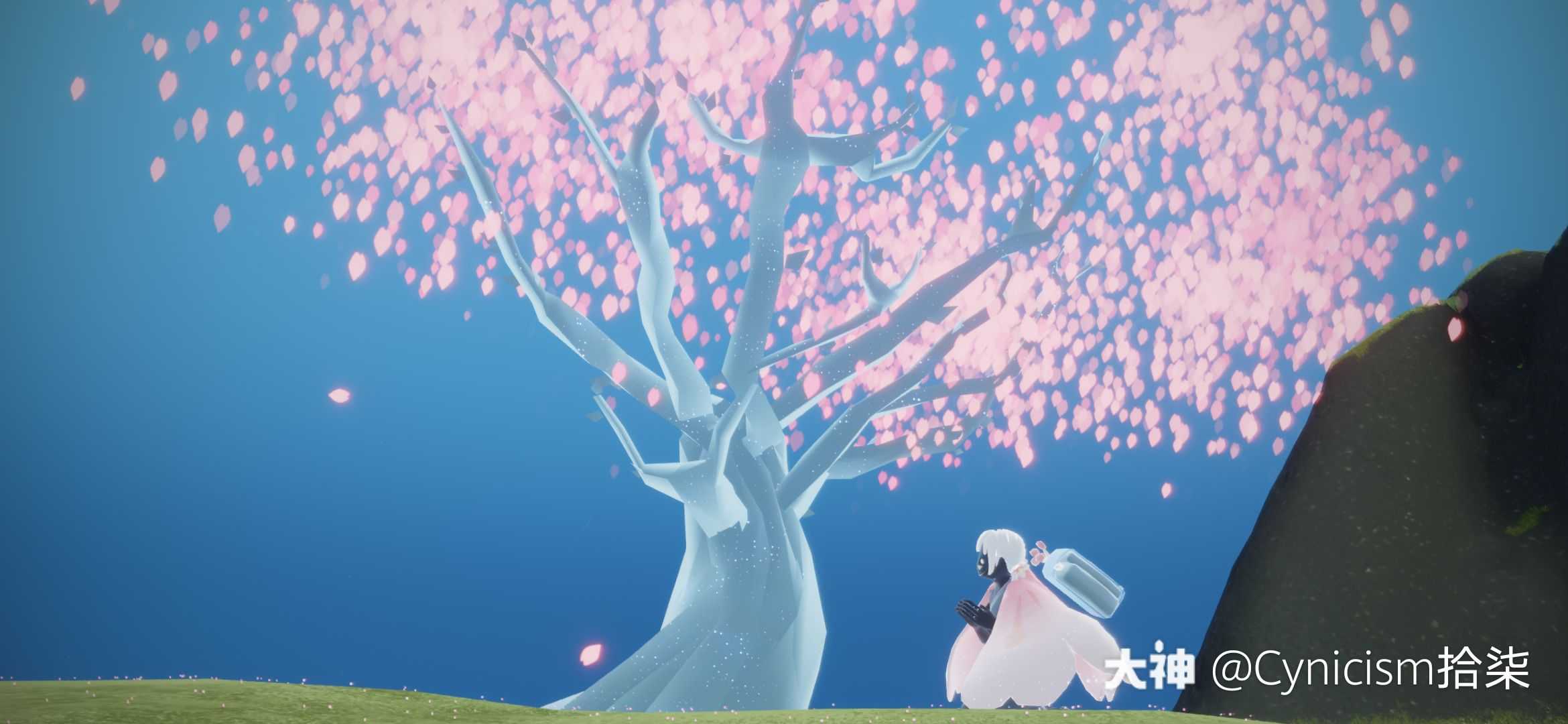 花开了呀#光遇花憩节