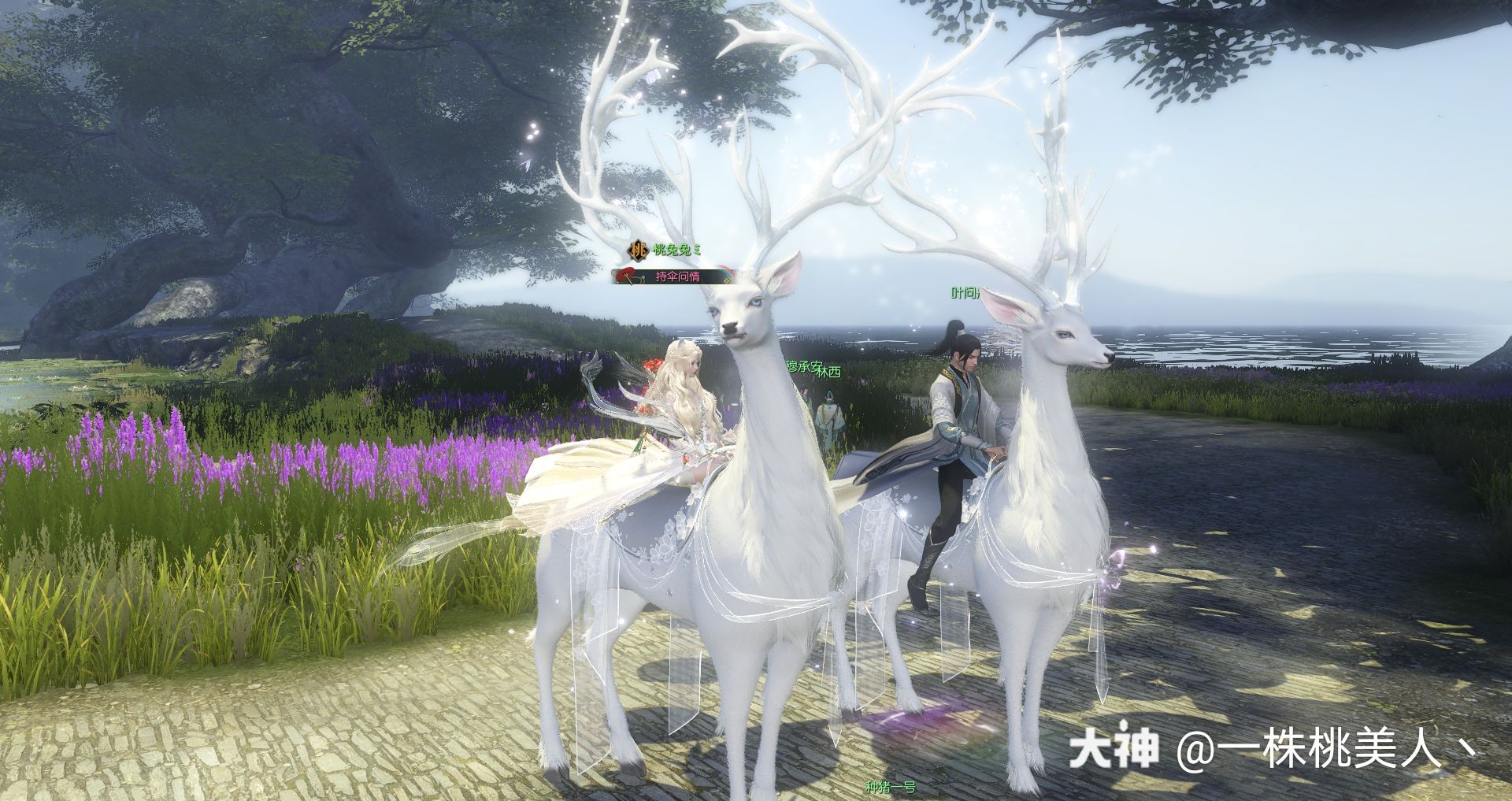 自从有了小狐狸坐骑,再也不眼馋南山雪了 _来自网易大神逆水寒圈子_一