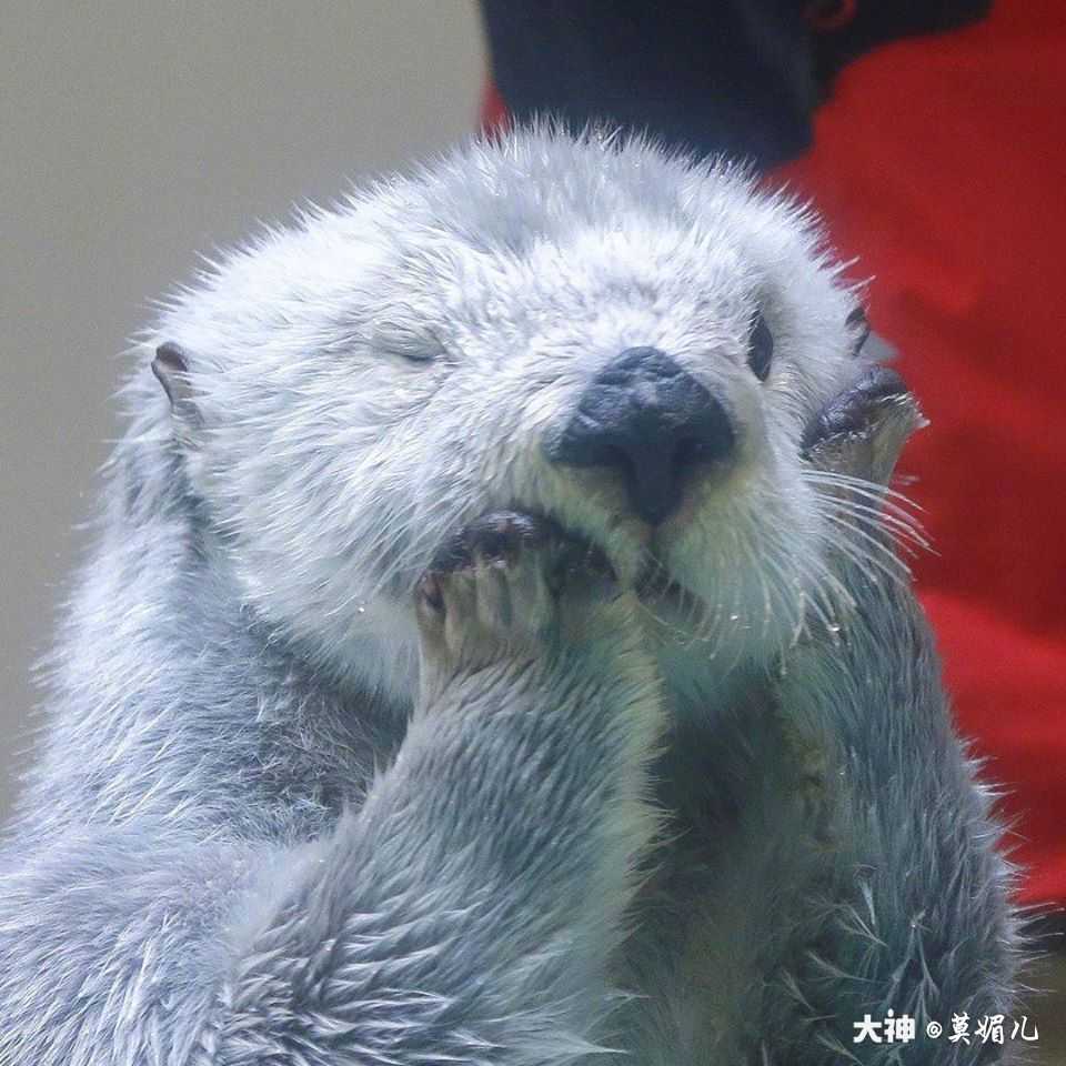 我来永劫无间啦～今日刚进游戏感觉体验不错后续会