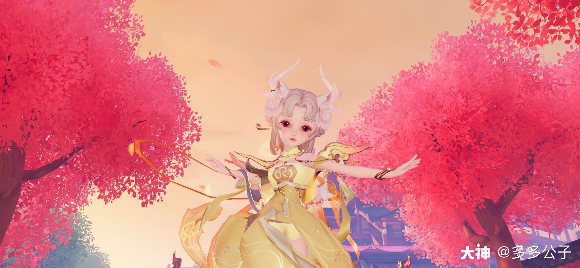 我是舞天姬啦啦啦又来.