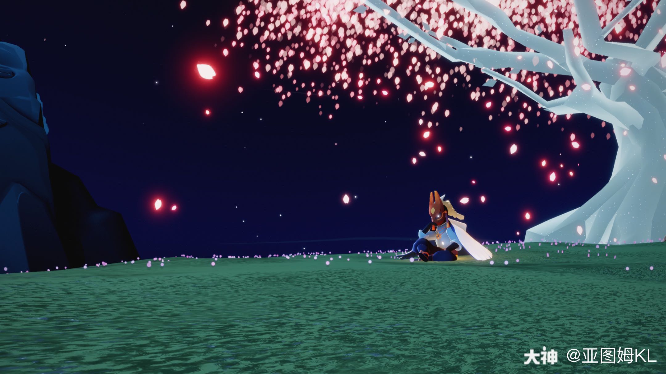 蹲个一样色批的固玩?