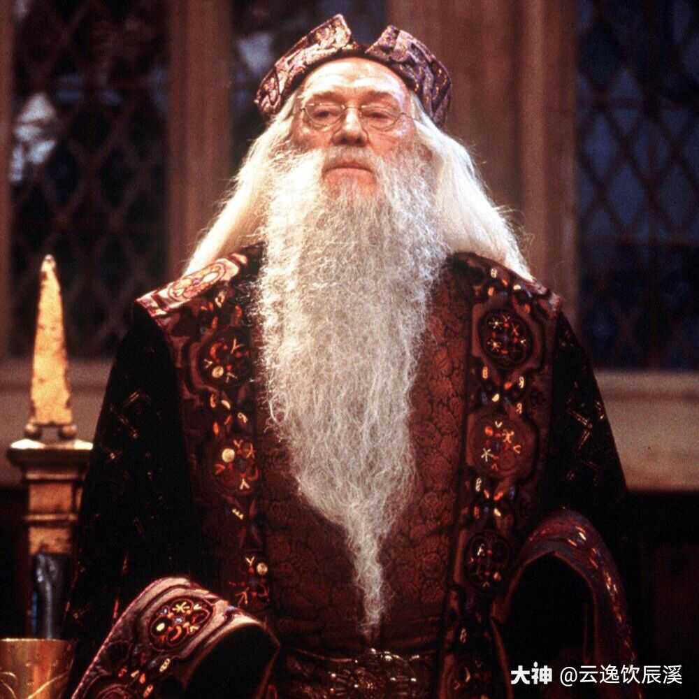 阿不思 邓布利多魔法世界人物 全名阿不思 珀西瓦尔 伍尔弗里克 布赖恩 邓布利多 来自网易大神哈利波特魔法觉醒圈子 云逸饮辰溪