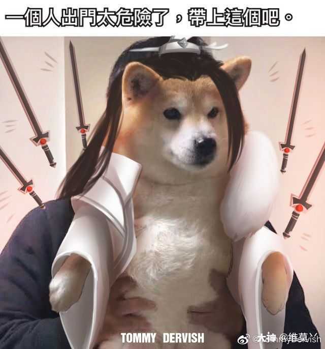 hhh,可可爱爱_来自网易大神圈子_李子明哟