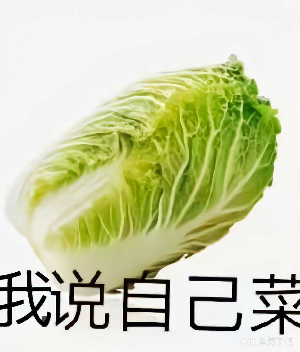 游戏中我说自己菜vs大佬说自己菜