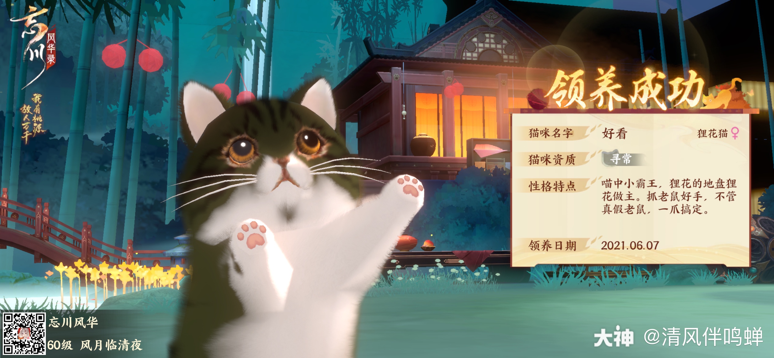 领到了一只狸花猫猫咪好看 众生百味 但忘川的猫是甜的 来自网易大神忘川风华录圈子 清风伴鸣蝉