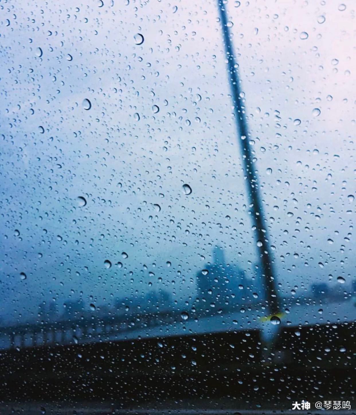 一輩子都在躲雨,雨會難過嗎?