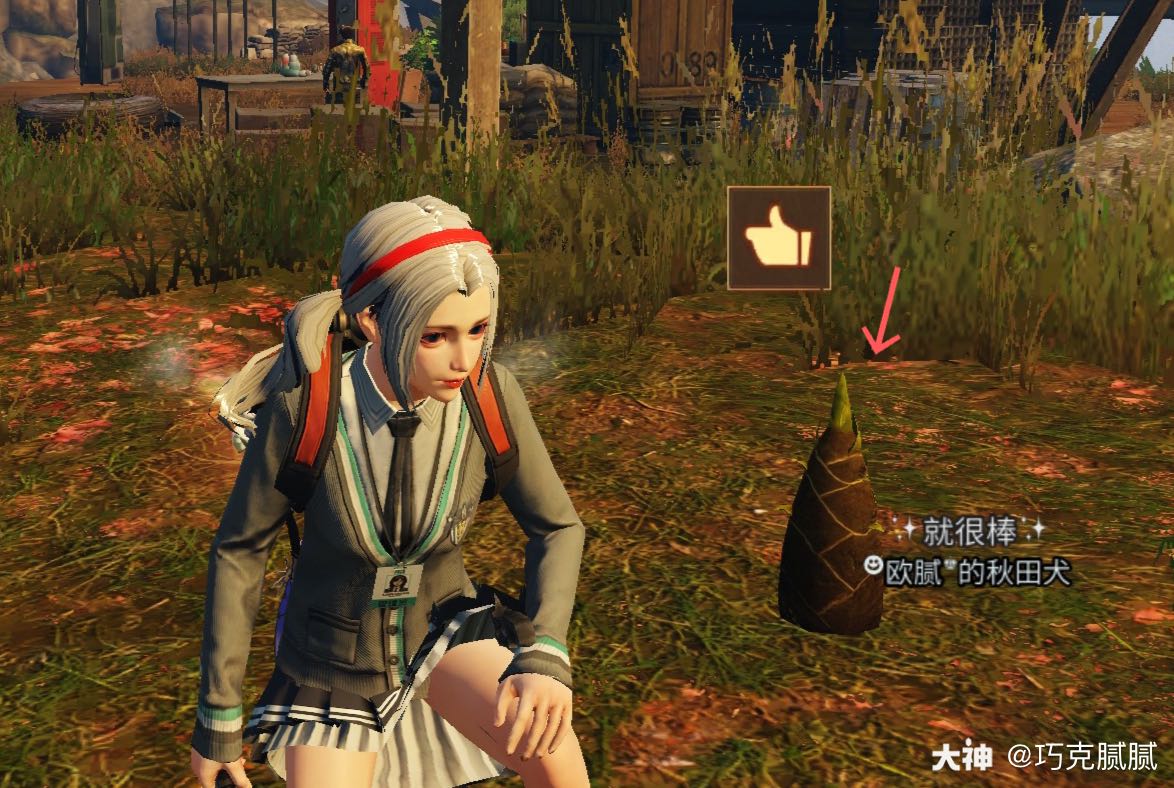 明日之后第三季# #明.