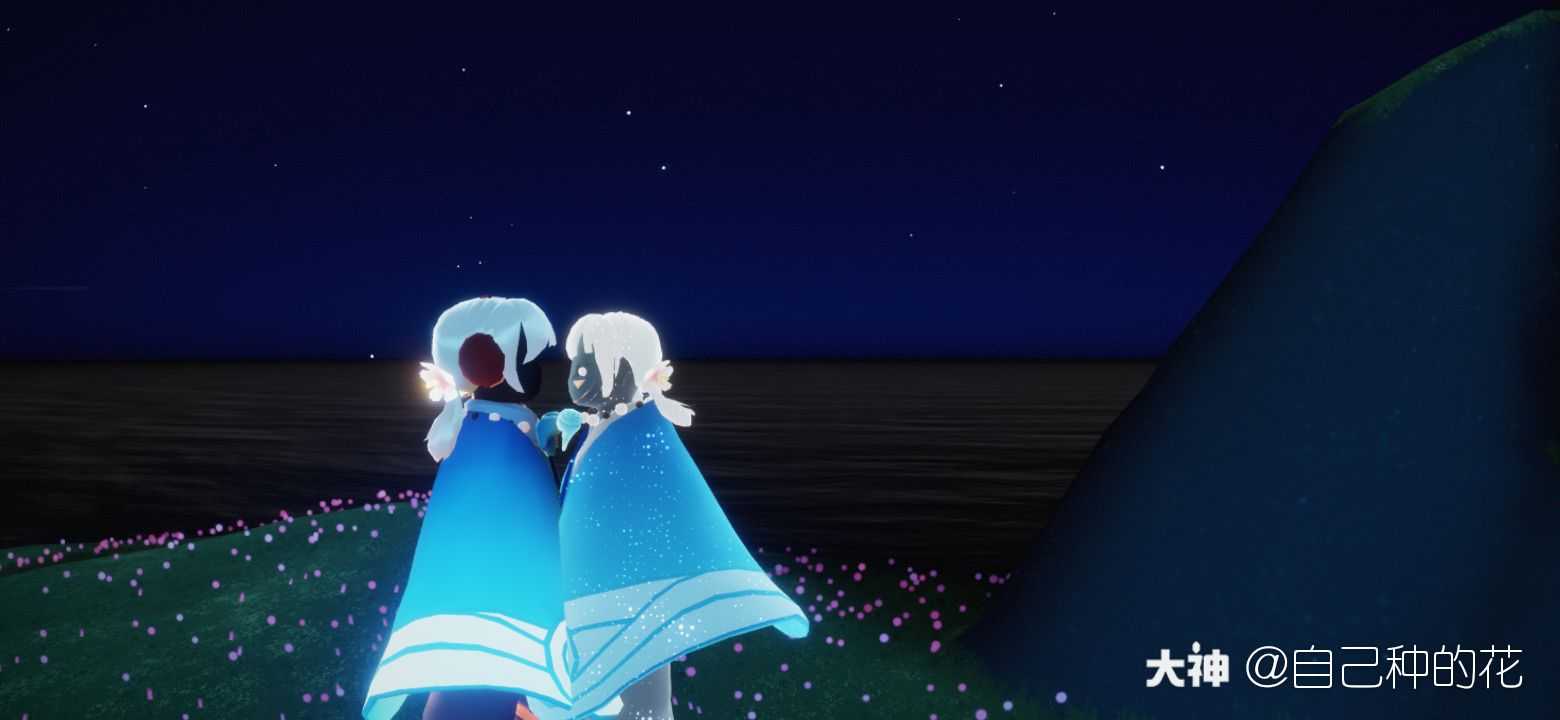 关注 #光遇日常# 樱花先祖的俩斗篷