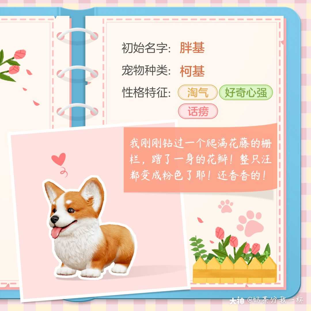 家园即将迎来新访客三花猫 跟着奶茶来了解一下各位可爱的主子叭 胖基 一只絮絮 来自大神天谕手游圈子 奶茶分我一杯