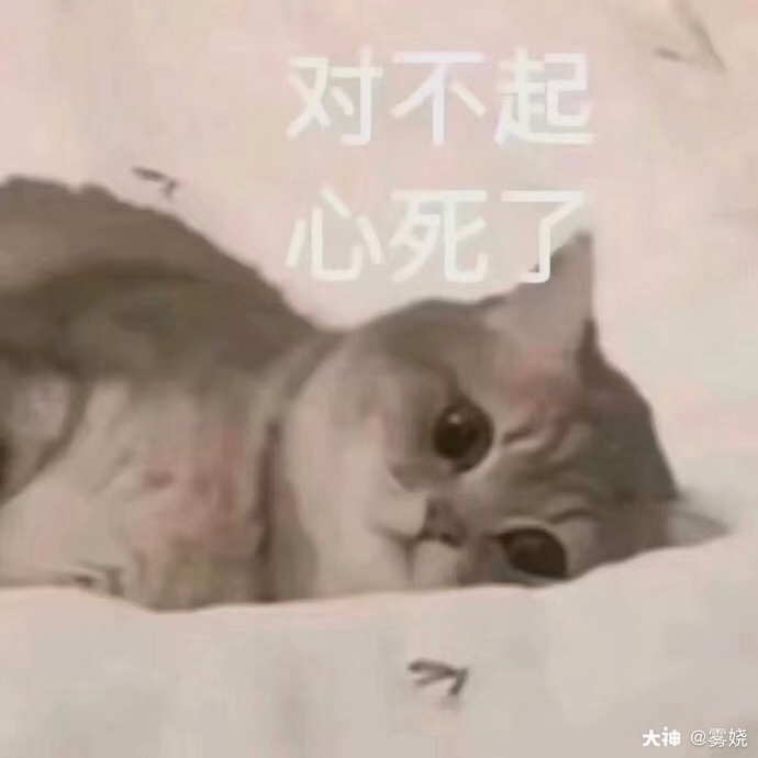 毁灭吧猫咪表情包图片