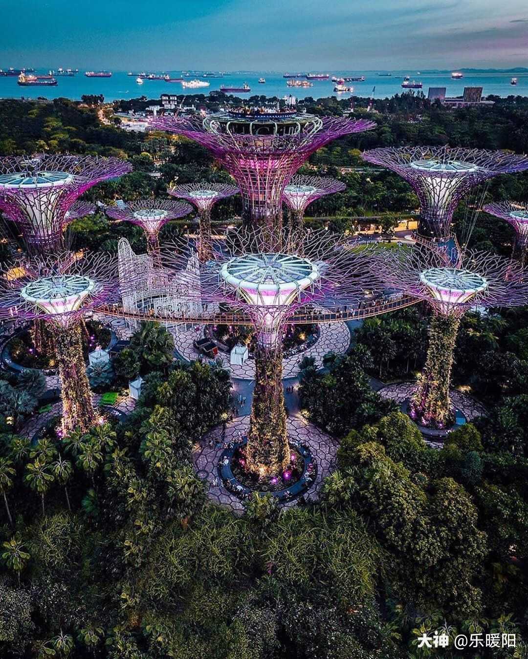 新加坡不愧是世界上有名的花园城市 !