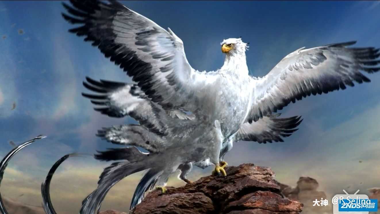 雷鸟物种信息感知力:有感知力相关物种:凤凰原生地:亚利桑那州,美国分