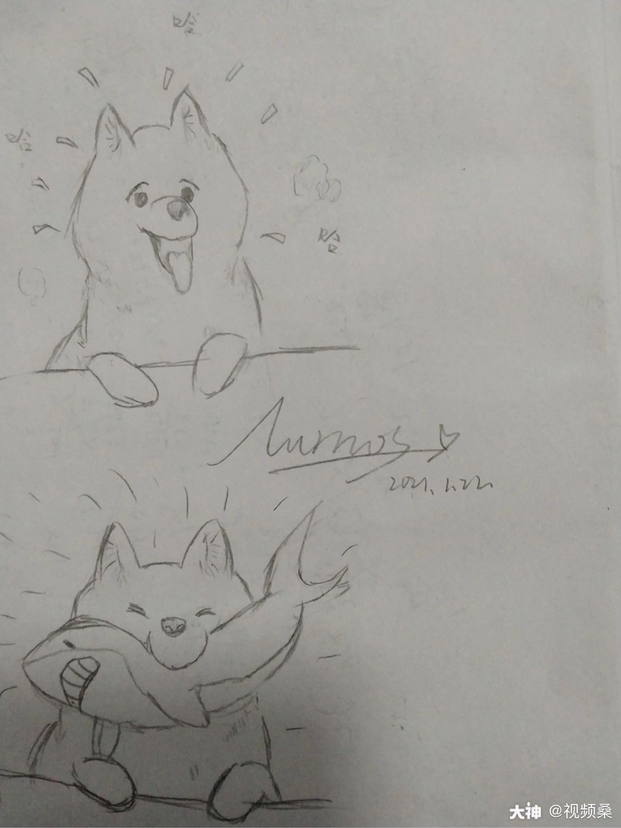 视频桑的猪窝# 随便画.
