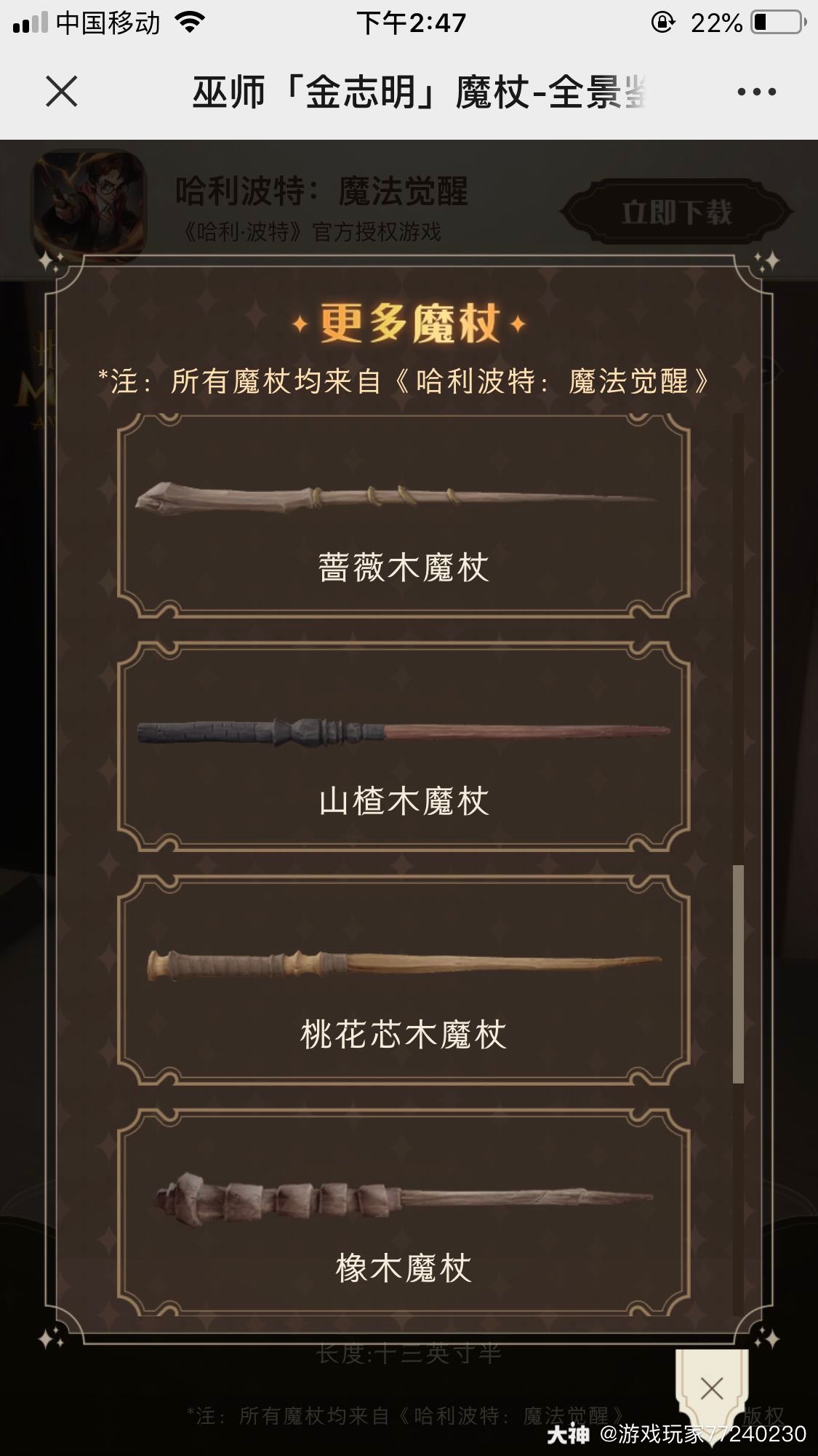 魔法工具集魔杖测试图片