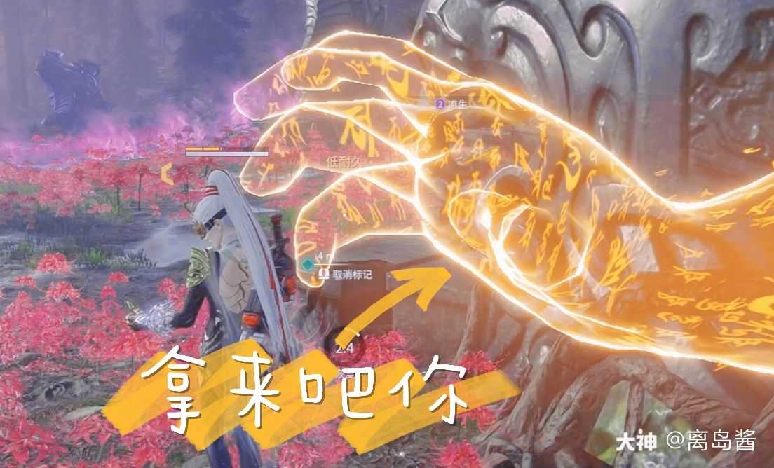 家人们._来自网易大神永劫无间圈子_离岛酱