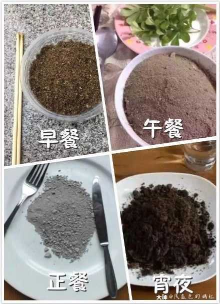 關注 有大佬需要代肝嗎,窮的吃不起飯了