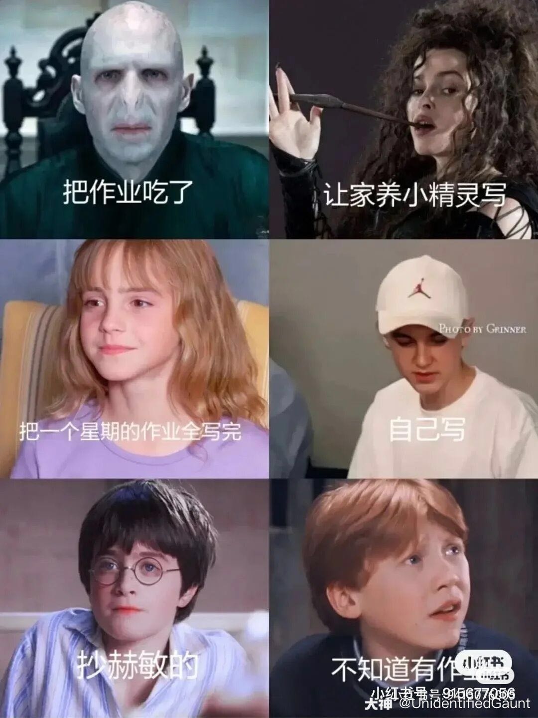 slytherin宿舍管理员_来自网易大神哈利波特魔法觉醒圈子