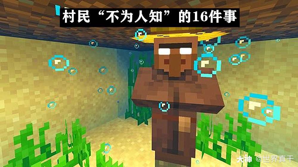 我的世界村民小知识玩了mc这么多年 最常打交道的生物便是村民 然而 我的世界 村 来自大神我的世界圈子 世界真干