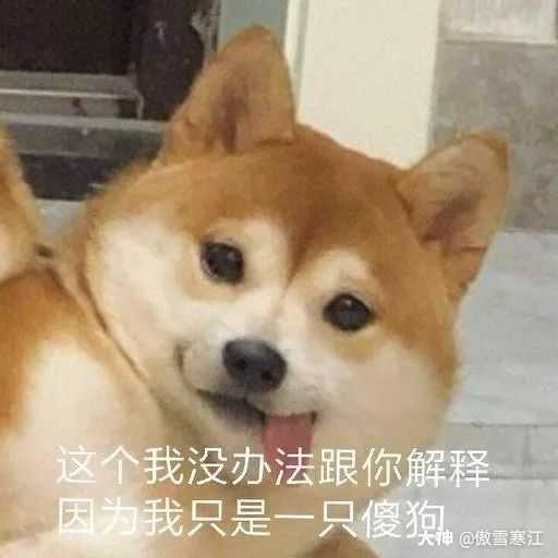 新年愿望就是 来自大神逆水寒圈子 傲雪寒江