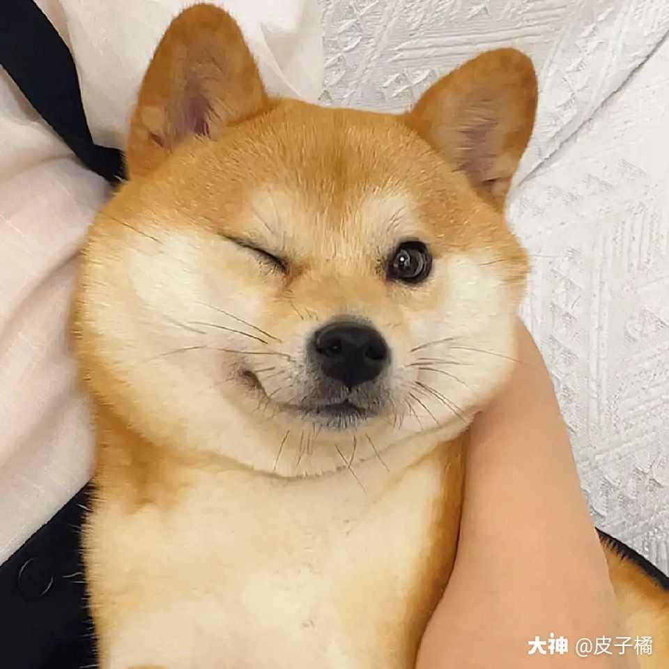 早日发财 来自大神逆水寒圈子 皮子橘