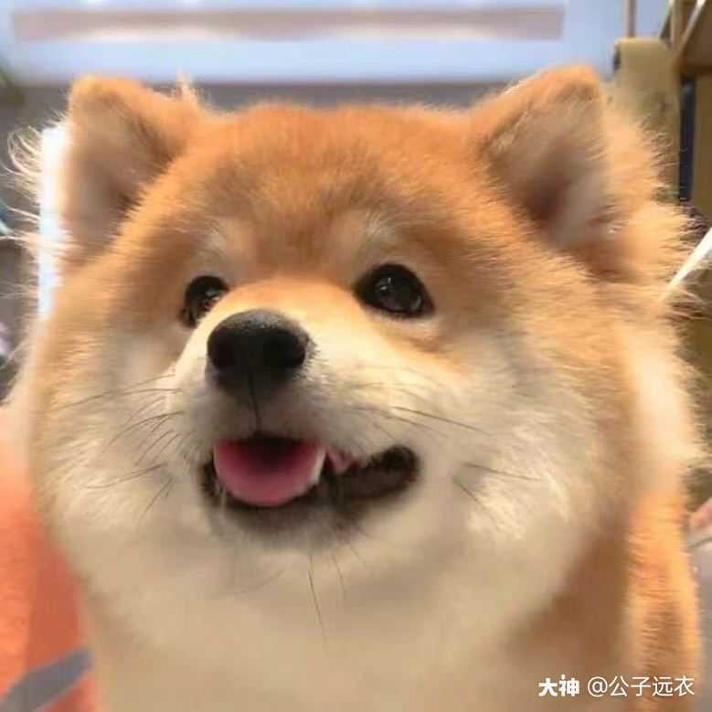 发财 来自网易大神逆水寒圈子 公子远衣