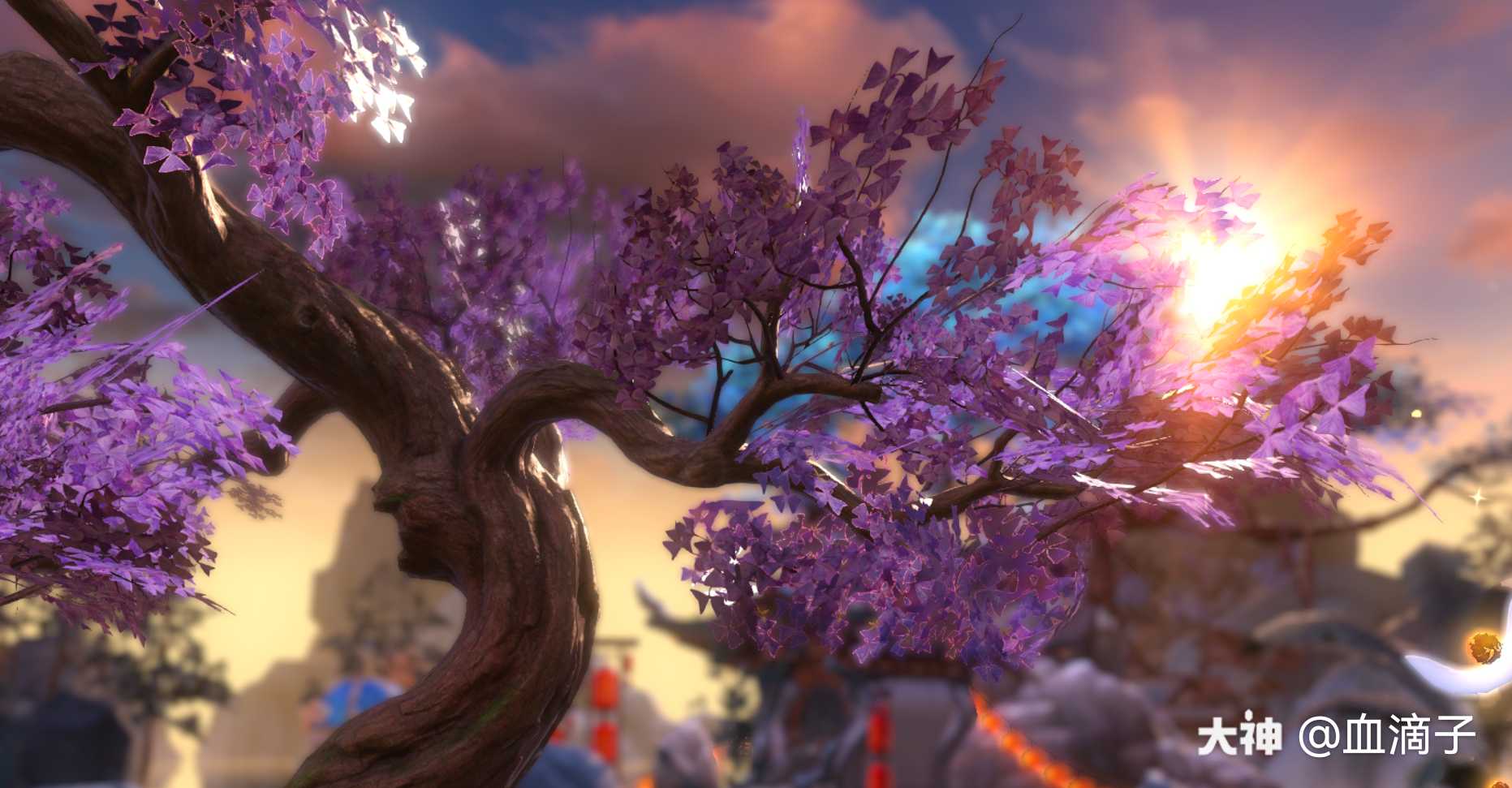 食神5级盆栽 蓝花楹盆栽 细节图蓝花楹种子需要300菜品值兑换种植条件需要14级 来自大神新倩女幽魂圈子 血滴子