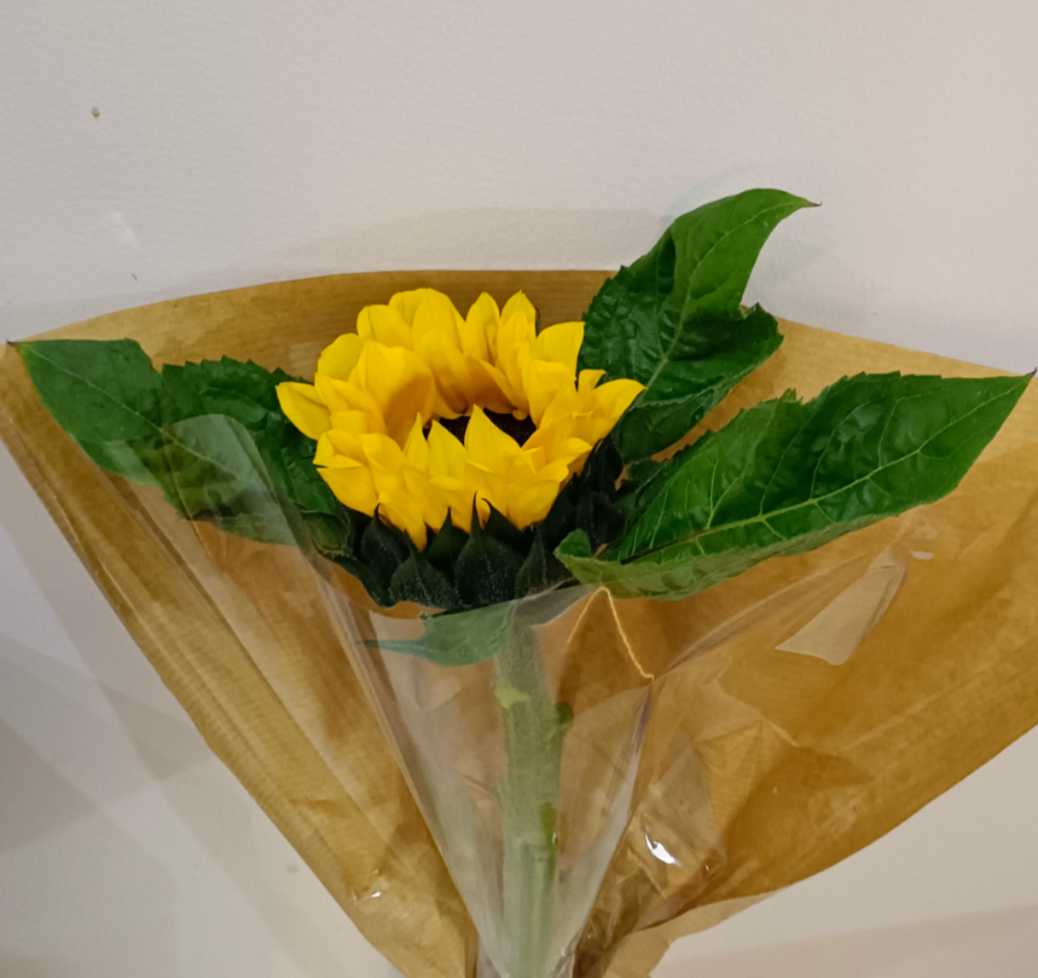 正月十四买花 过 正月十五元宵节 来自大神大唐无双圈子 云梦青岚丶