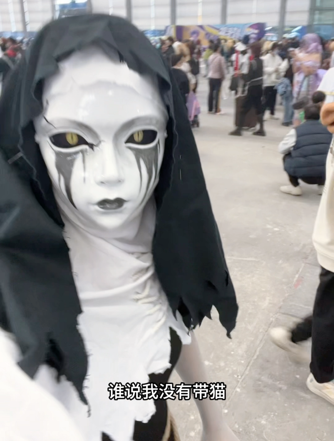 使徒安身边当然有猫第五人格使徒安,使徒安cos,我的小猫咪_第五人格 | 大神