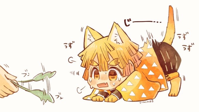 是可爱的猫猫善逸呀 Twi Sumicc03 来自大神圈子 次元同萌绘