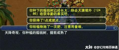 梦幻摇钱树苗最新攻略