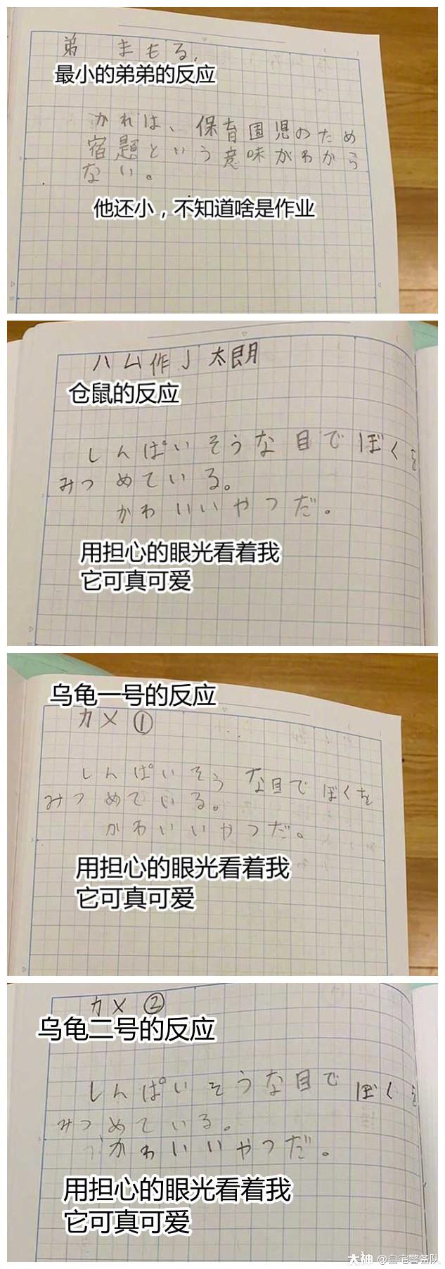 日本一位小学生在暑假将 如果我不做暑假作业会怎样 当成了自由研究课题 并认真做了 来自网易大神圈子 自宅警备队