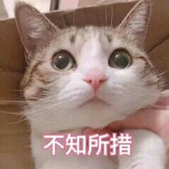 04_来自网易大神圈子_孤岛先锋手游
