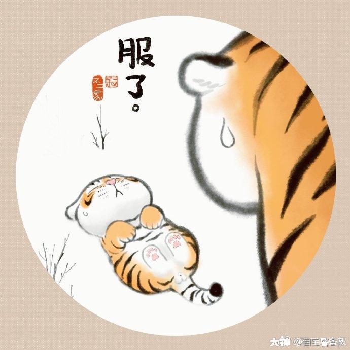 猛虎的日常第三弹:小脑虎能屈能伸篇(via.weibo 不二马大叔)