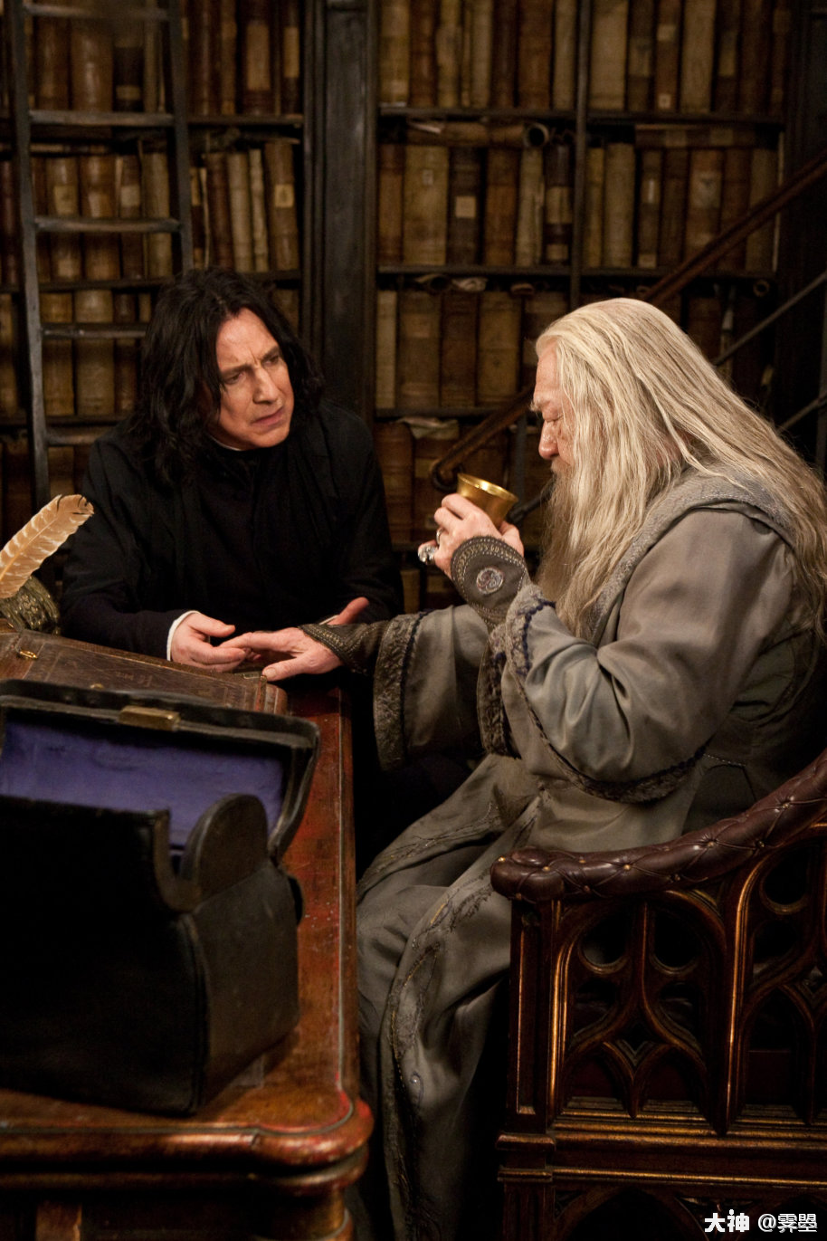 thelightandshadeofseverussnape西弗勒斯斯内普的光和影