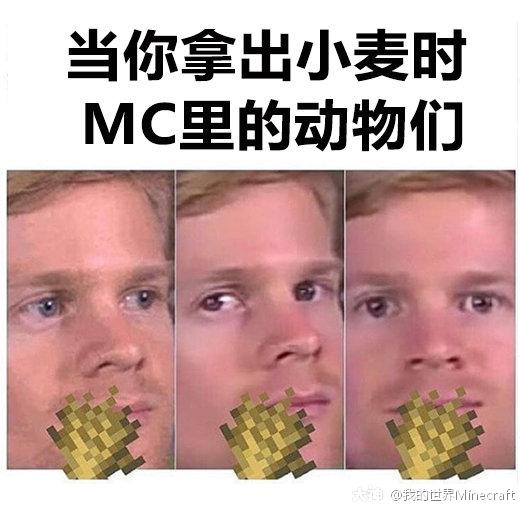 当里的动物看见手持小麦的你 图片来自玩家投稿 来自网易大神我的世界圈子 我的世界minecraft