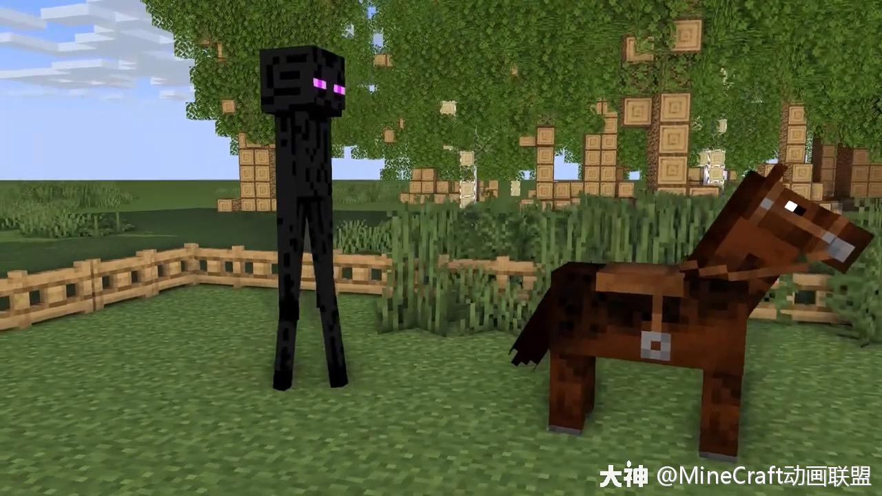 我的世界动画 小动物挑战 来自网易大神我的世界圈子 Minecraft动画联盟