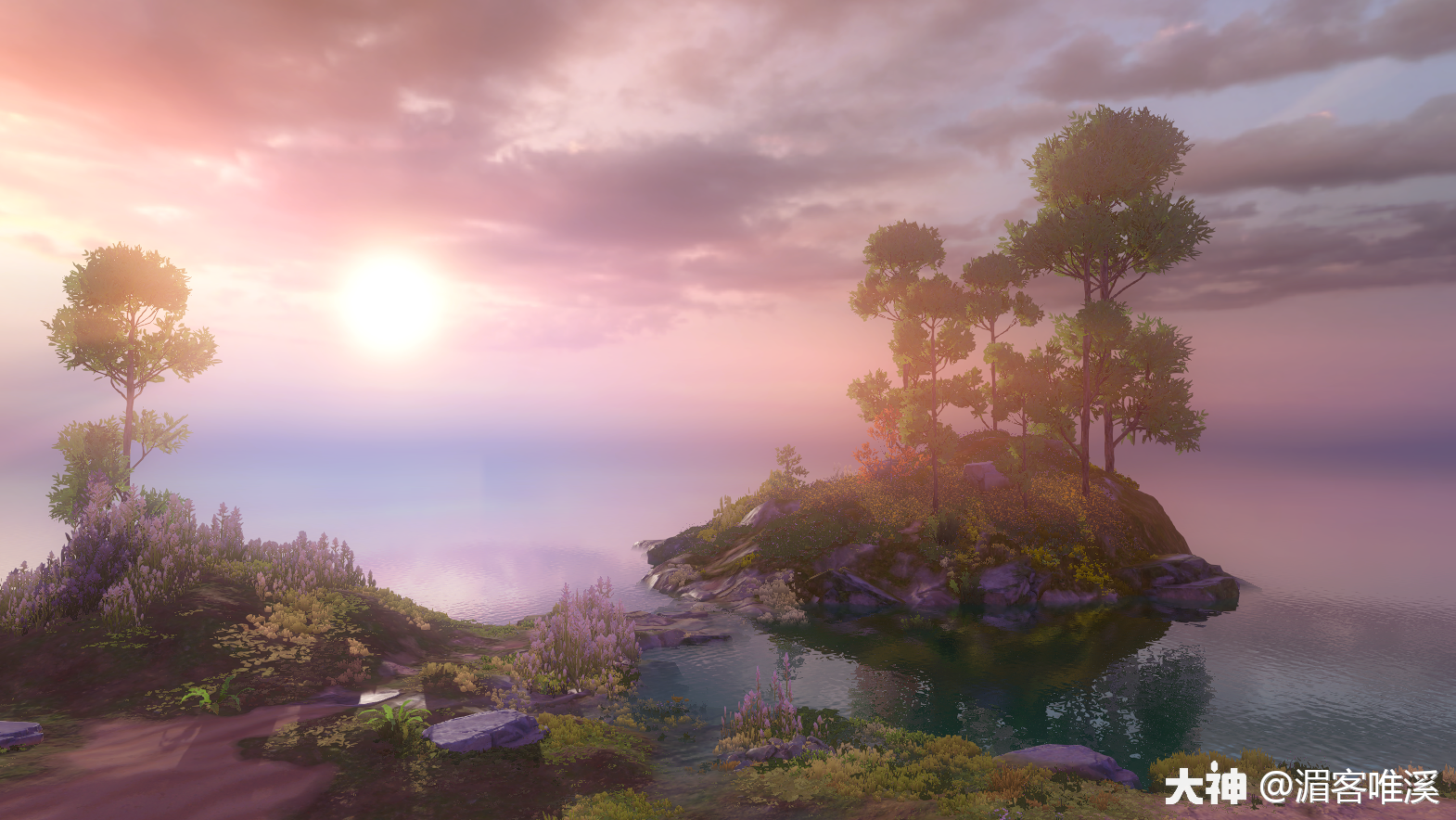 虽然隔着屏幕,思绪却在栖夏的世界里沉沦.