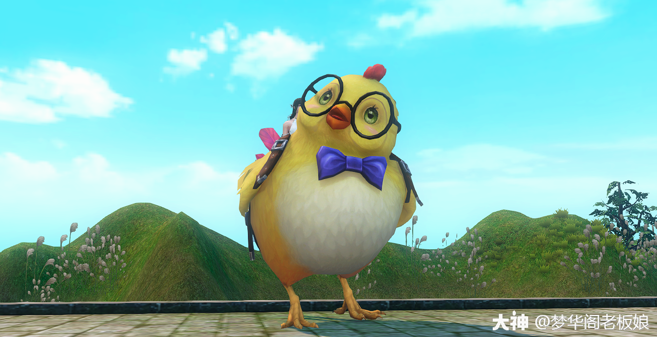 精选坐骑图鉴第11期肥肥鸡