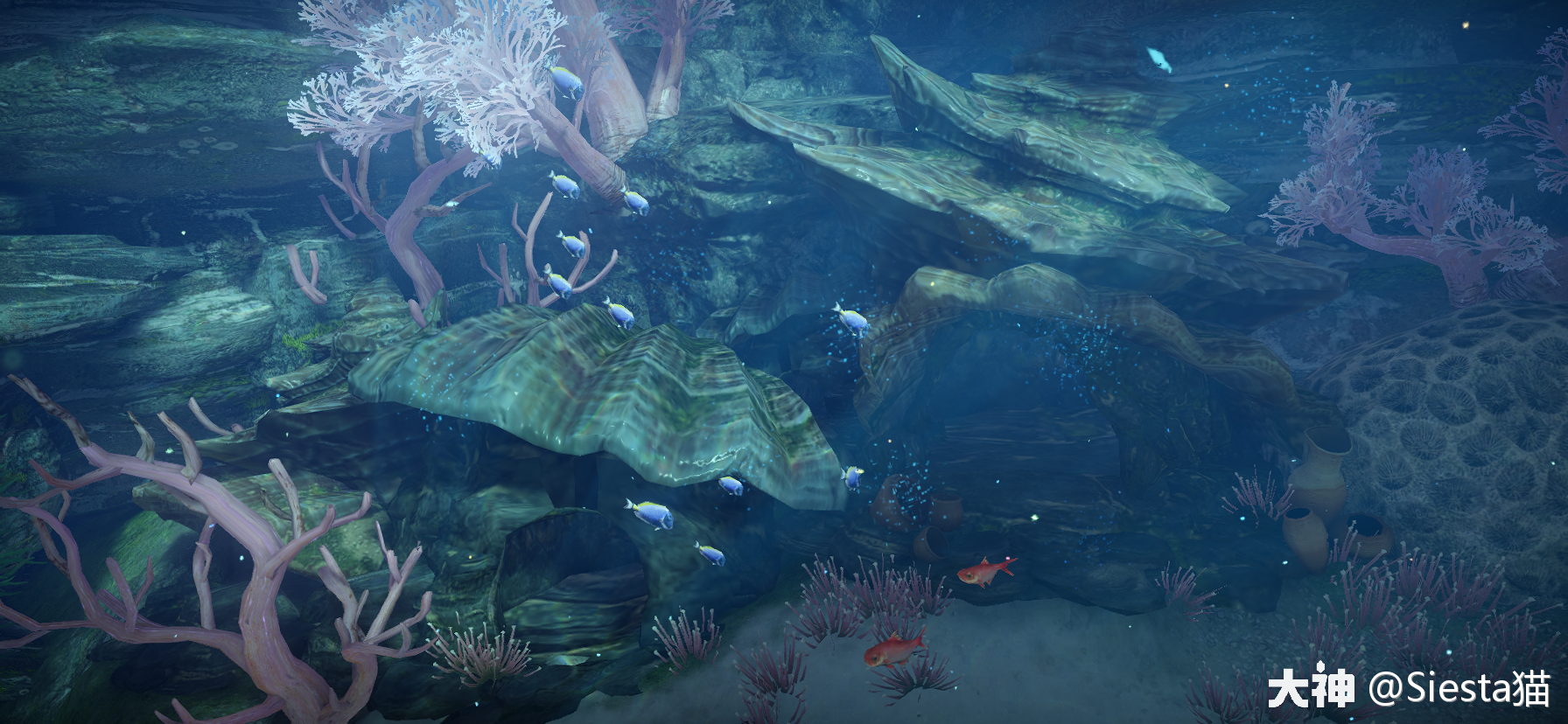 天谕景点攻略之汐愿之海【萌新们给我看!】