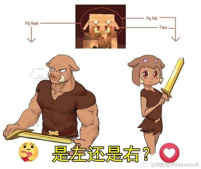 我的世界 你看到的是猛男猪灵,还是.