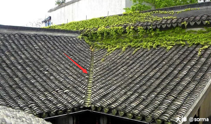 dva皮肤原型考据&评鉴