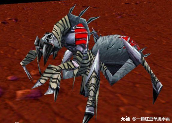 怎么跑去当蜘蛛的老大了?