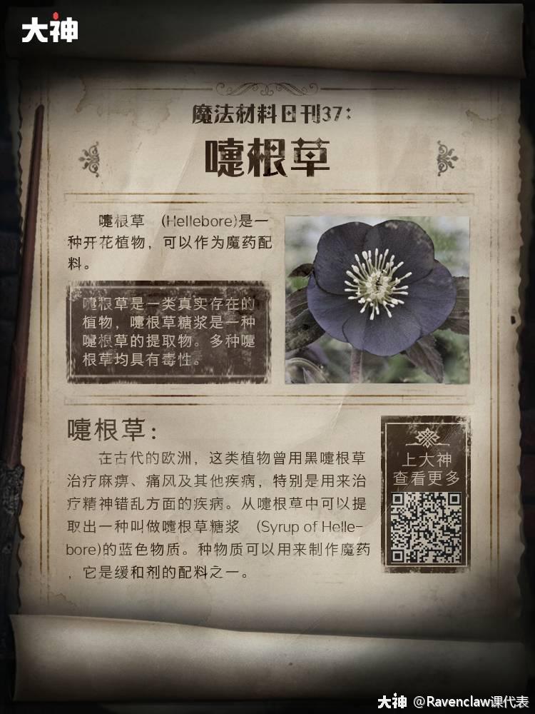 魔法材料日刊37 本期要点 嚏根草材料介绍 嚏根草 Hellebore 是一种 来自网易大神哈利波特魔法觉醒圈子 Ravenclaw课代表