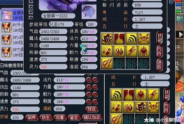 召唤兽打书介绍之技能排序与冲突（有用请收藏，不喜勿喷）_梦幻西游 | 大神